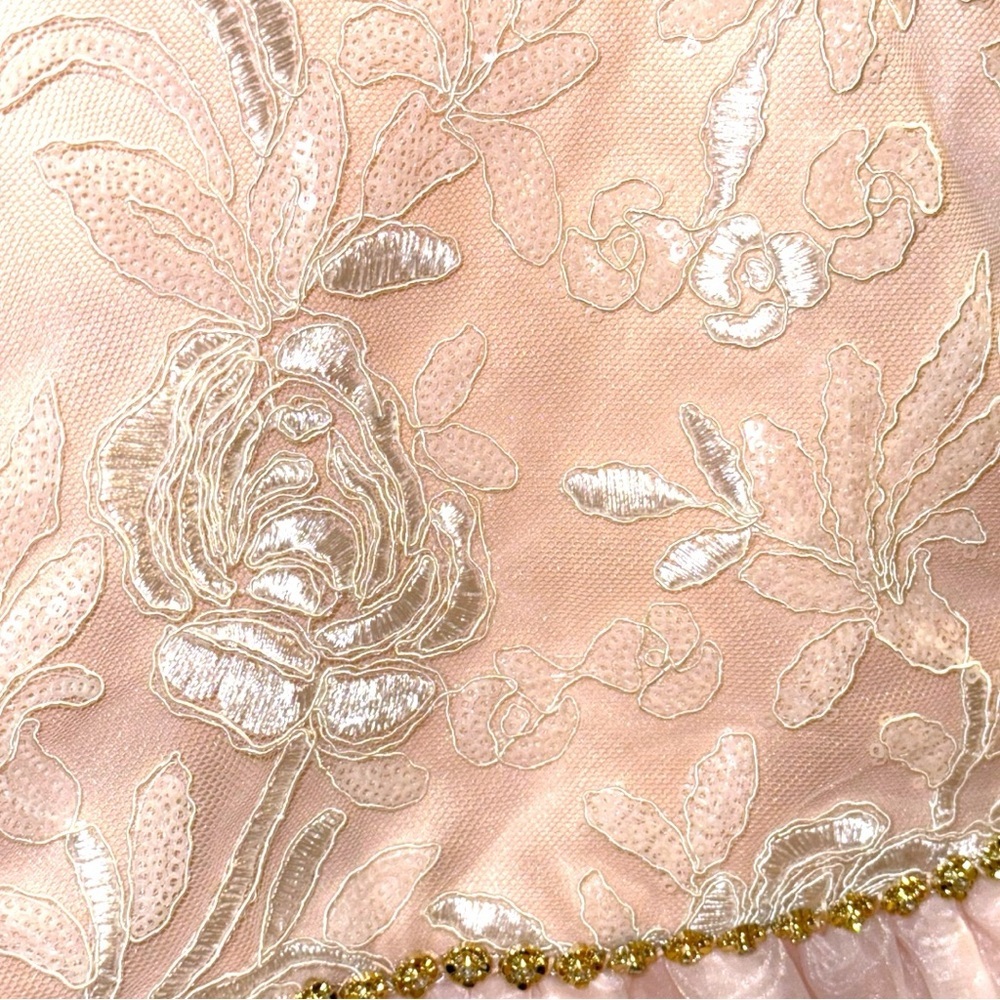 Rare Editions Girls Blush Floral Embroidered Formal Dress Size 10 - Picture 6 of 8